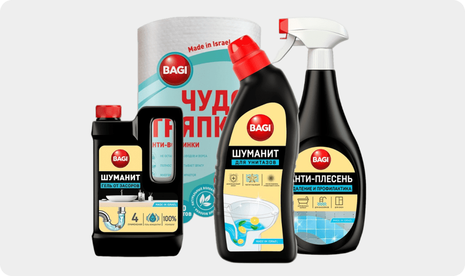 Профессиональная моющая химия BAGGI