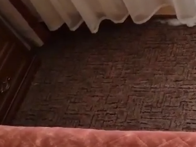 Химчистка ковра