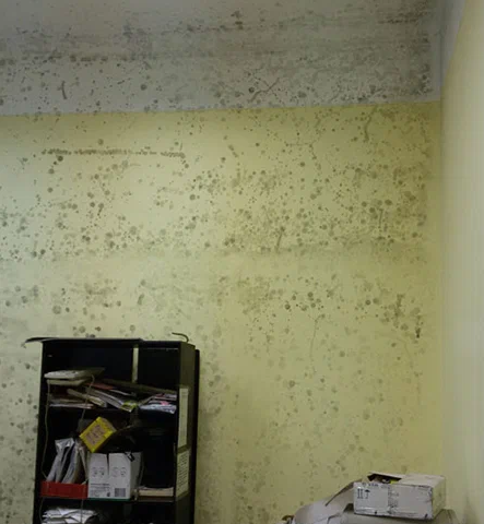 Генеральная уборка квартиры после потопа