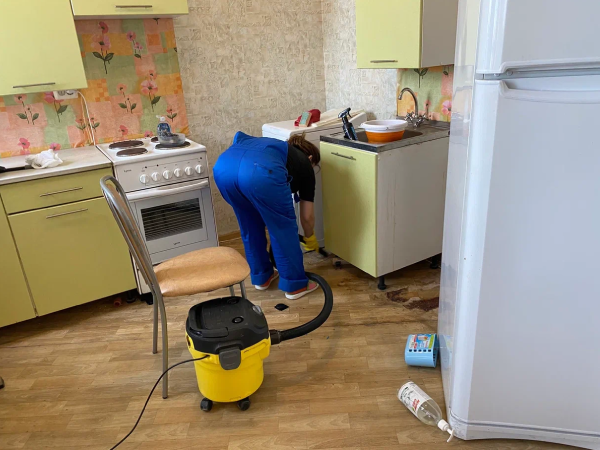 Удаление плесени