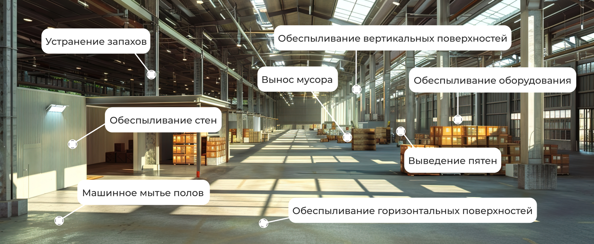 Генеральная