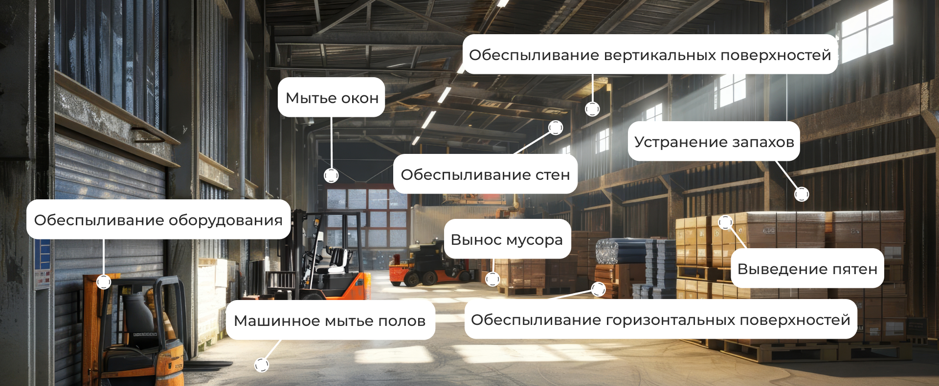 Генеральная