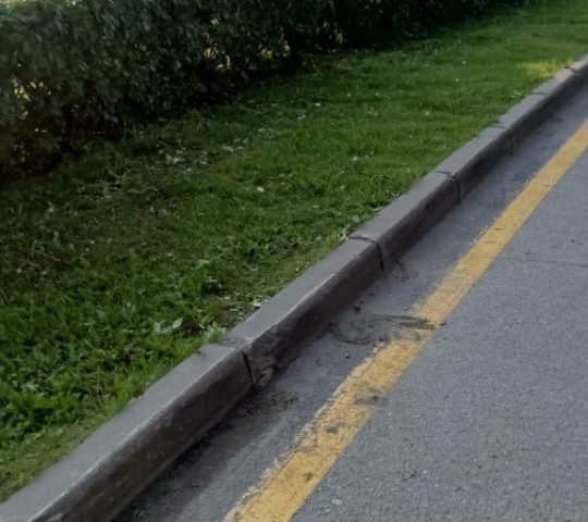 Уборка территории с покосом травы и стрижкой кустарника кустарника